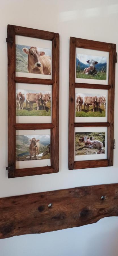 Casa Vacanze Le Falesie Baceno Dış mekan fotoğraf